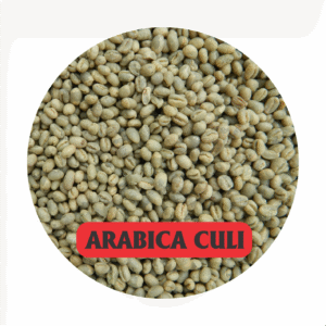 ARABICA CULI