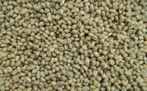 Cà phê Culi Arabica