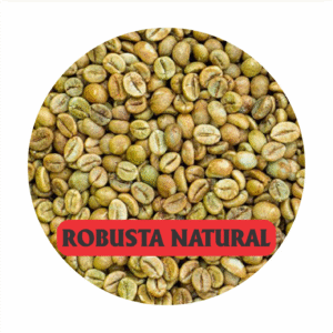 Robusta nhân xanh cafe may