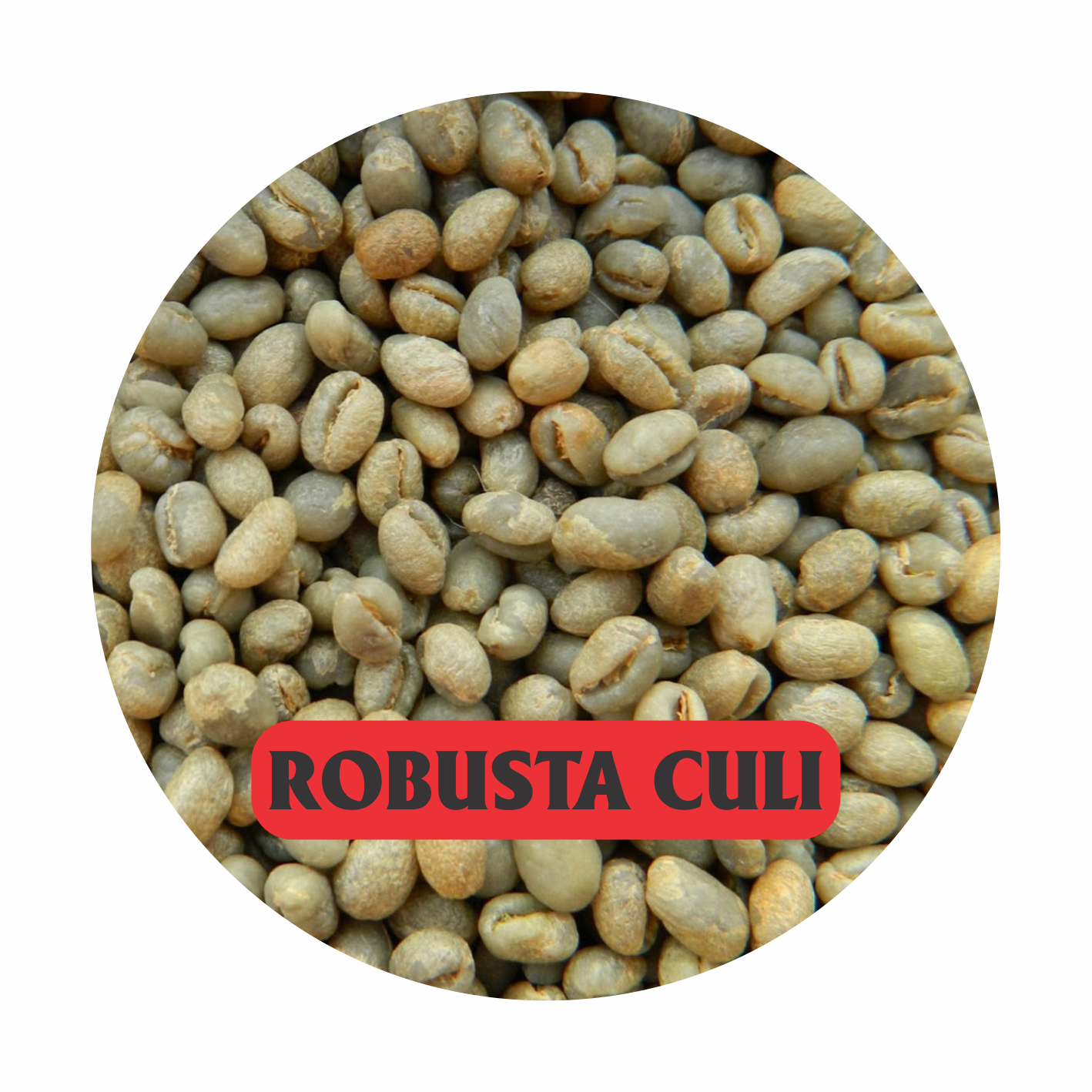 robusta culi