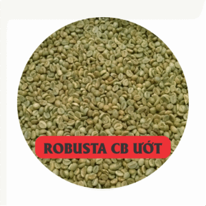 cà phê robusta chế biên ướt