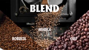 cách chọn cà phê pha máy cho quán