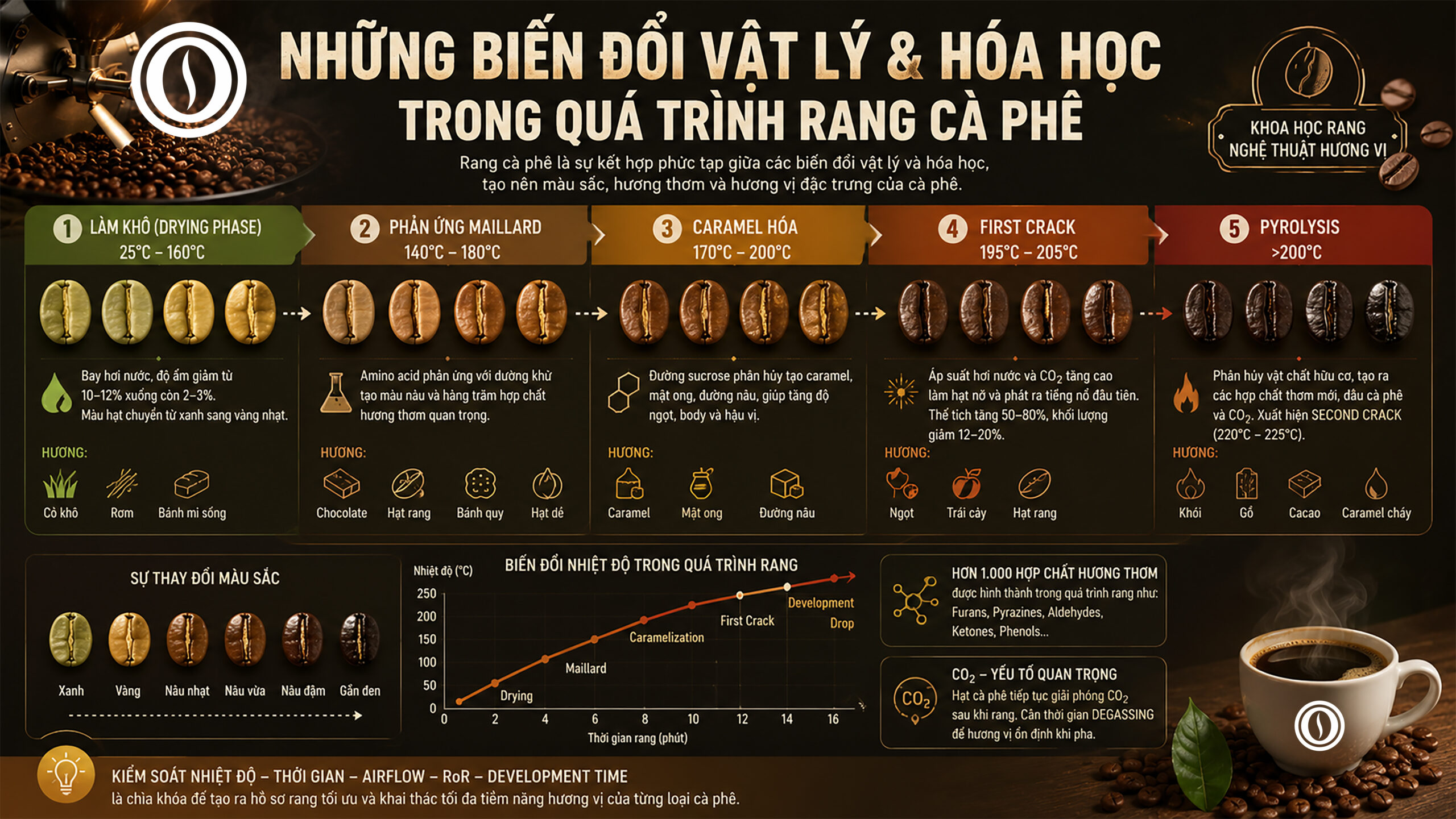 Những Biến Đổi Vật Lý Và Hóa Học Trong Quá Trình Rang Cà Phê