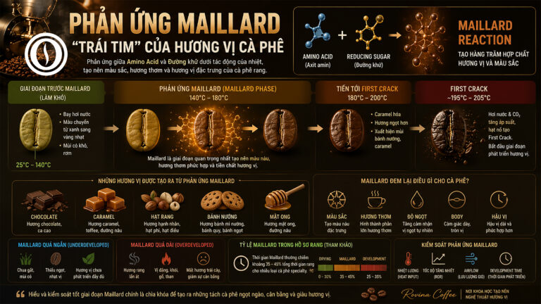 Phản ứng Maillard là gì? tại sao nó quyết định hương vị cà phê?