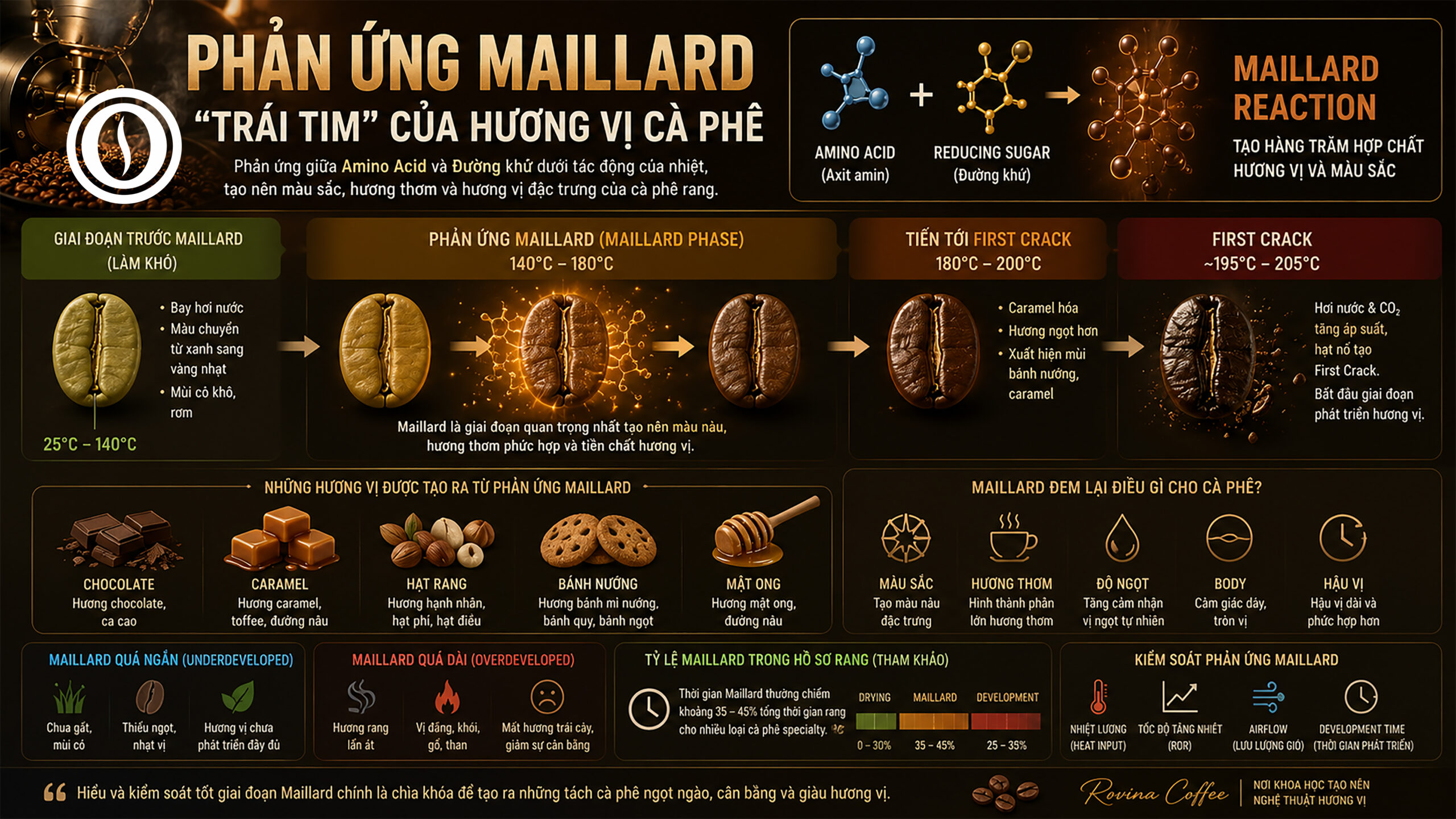 Phản ứng Maillard là gì? tại sao nó quyết định hương vị cà phê?