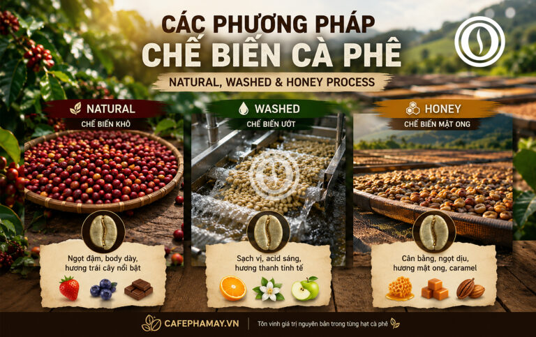 Phương pháp chế biến cà phê