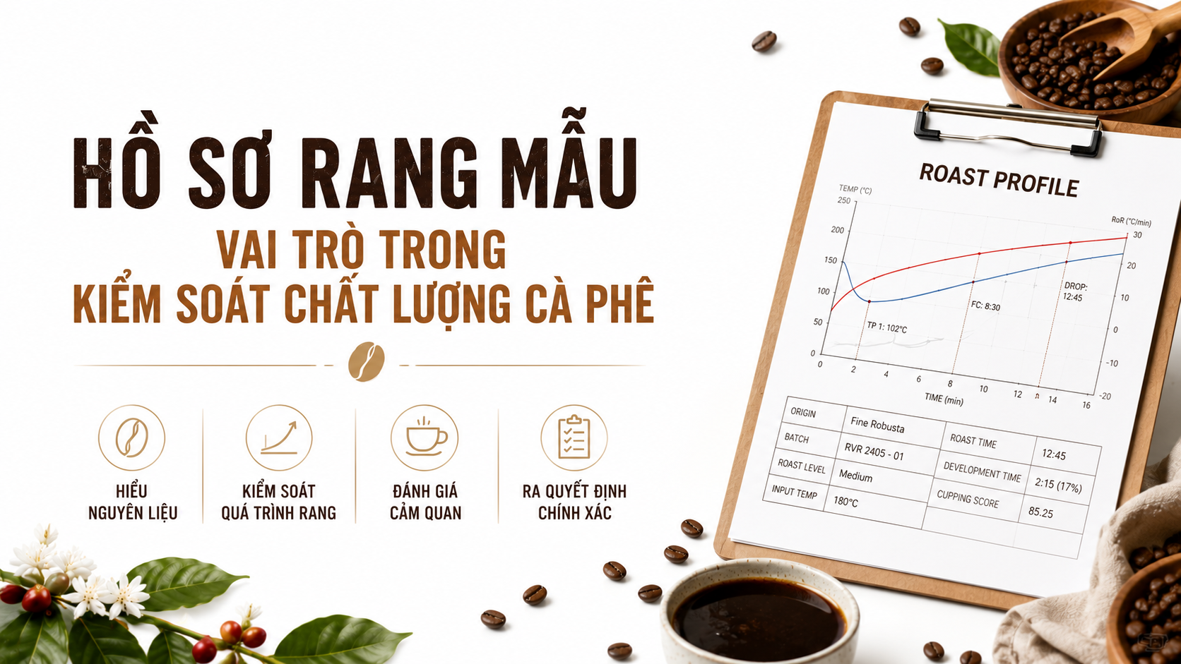 Hồ sơ rang mẫu là gì? Vai trò trong kiểm soát chất lượng cà phê