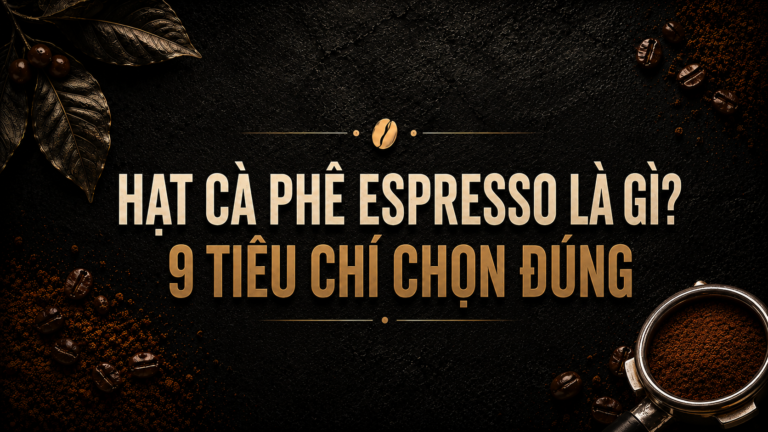 Hạt cà phê Espresso là gì? 9 tiêu chí chọn đúng
